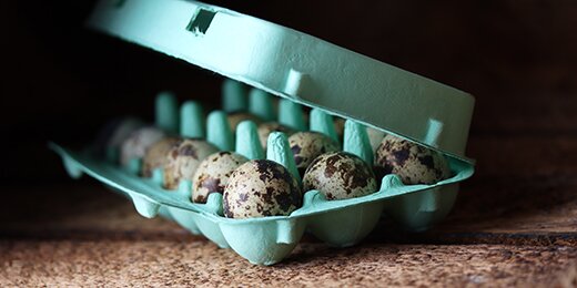 12er Wachteleierschachtel 50 Stück Wachteleierschachteln PVC Eierkartons für Eier für Familienweide Hühnerfarm Business Market Camping Picknick Reisen 