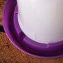 Wachteltränke 1,5l - purple | Quailzz®